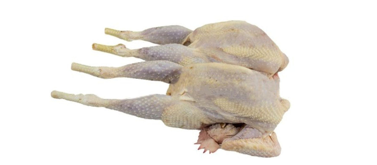 Hard chicken/ boiling hen